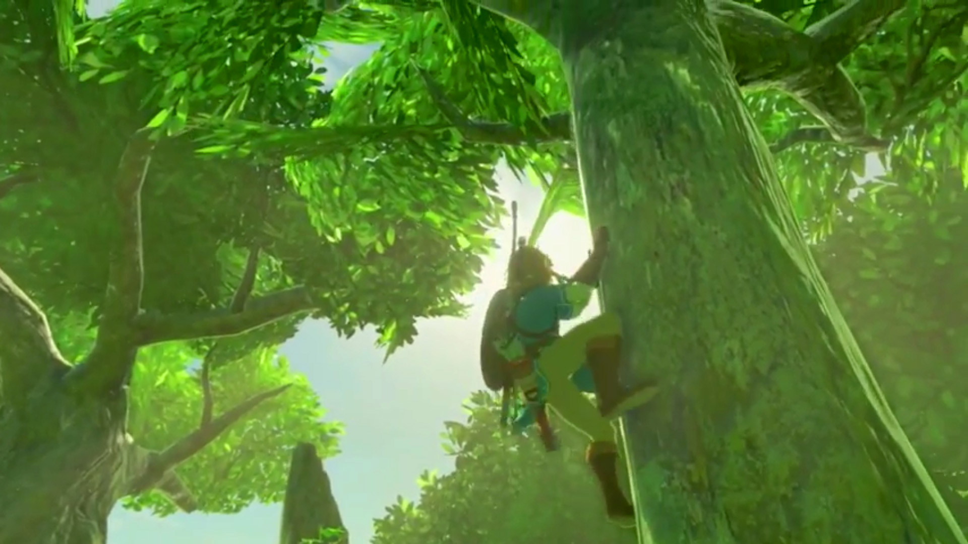 Banner-Zelda-BreathOfWild-World-TreeClimb.jpg