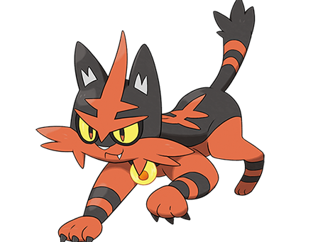 torracat1