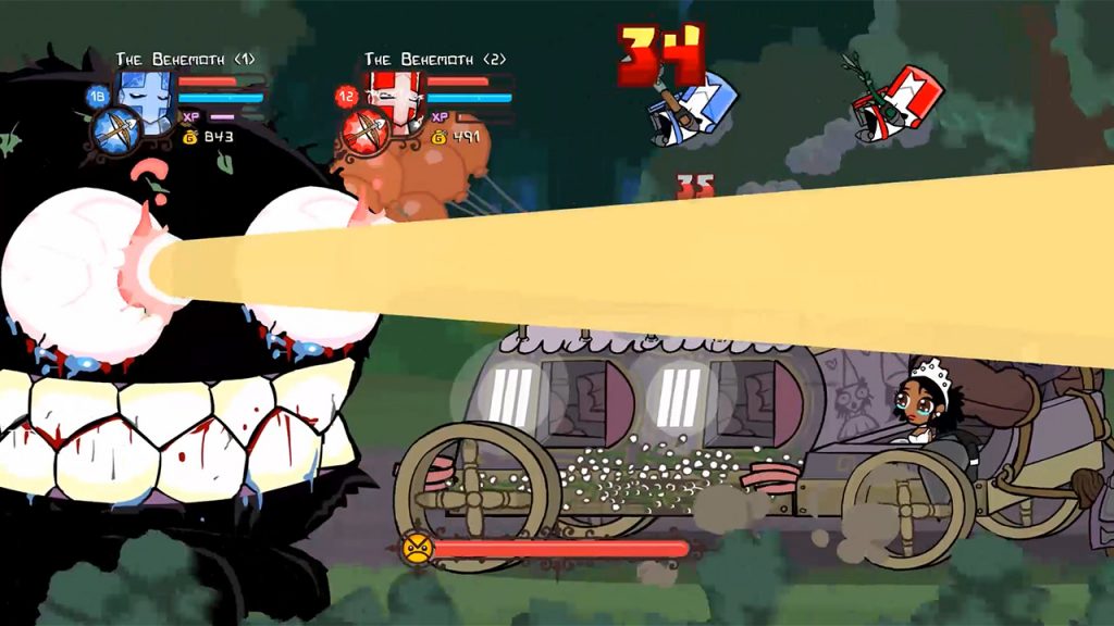 castle crashers switch