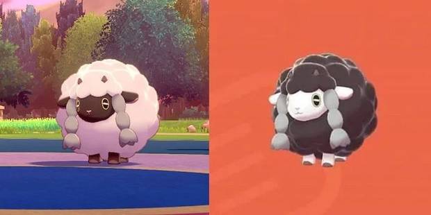 Guide Shiny Pokemon Hunting In Pokemon Sword And Shield