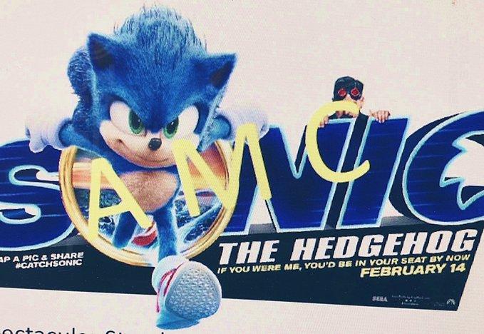 Another Sonic Movie