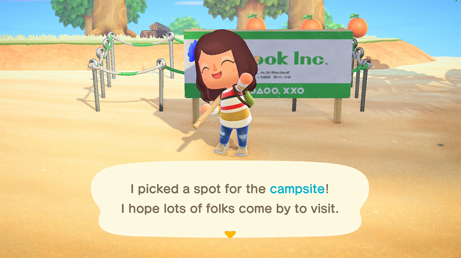 Animal Crossing: New Horizons Force A Camper To Replace A Specific