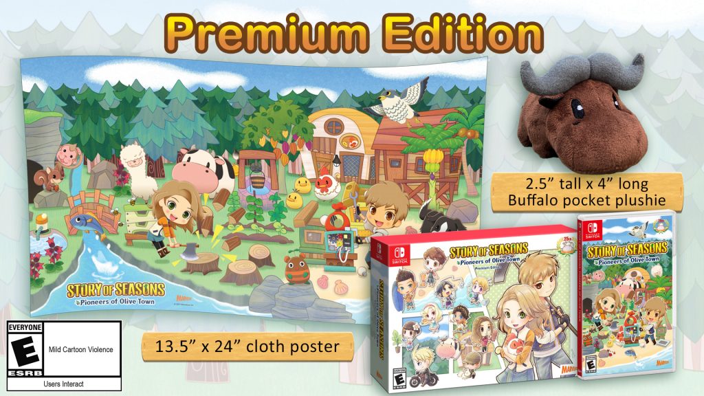 Nintendo eshop deals story of seasons