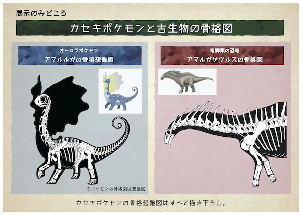 Pokemon Fossil Museum Exhibit Tour Announced For Japan Nintendo Wire