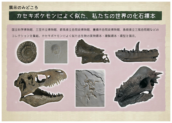 Pokemon Fossil Museum Exhibit Tour Announced For Japan Nintendo Wire