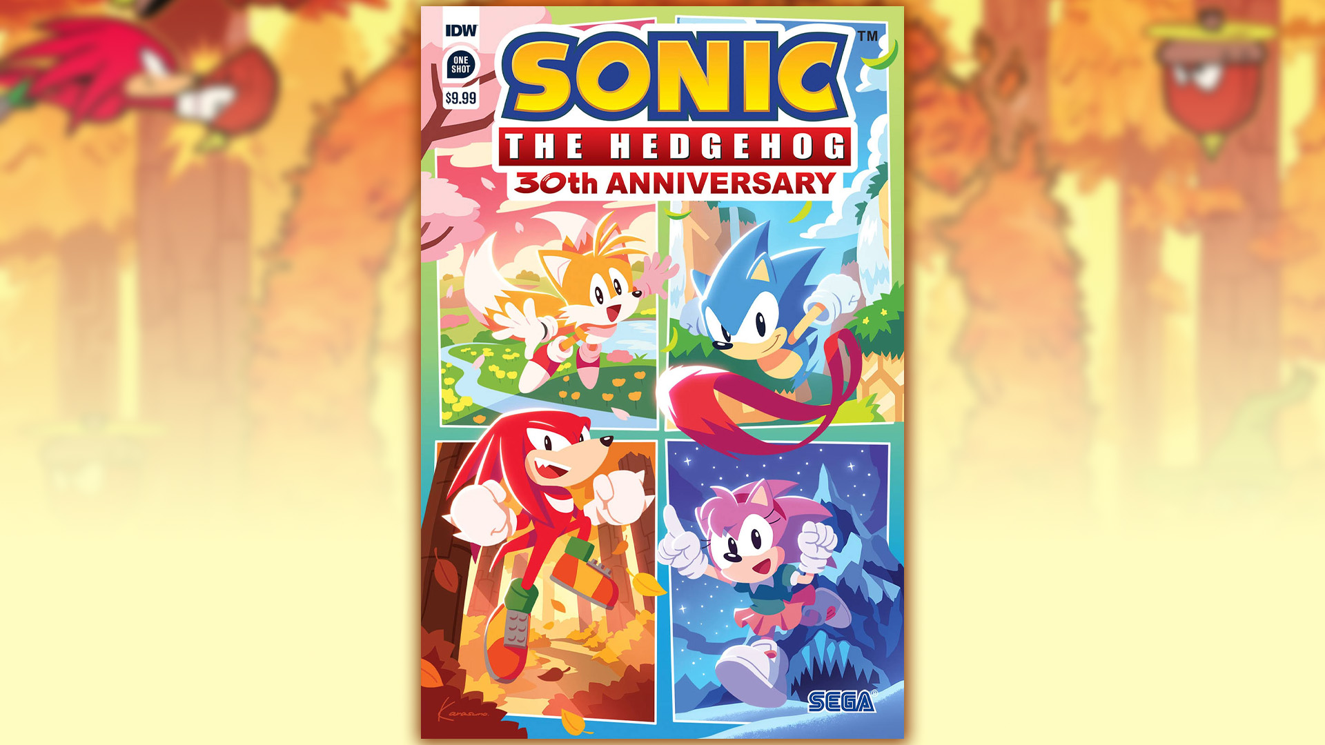 Amy Rose Starring In Her Very Own 30th Anniversary One-Shot Comic