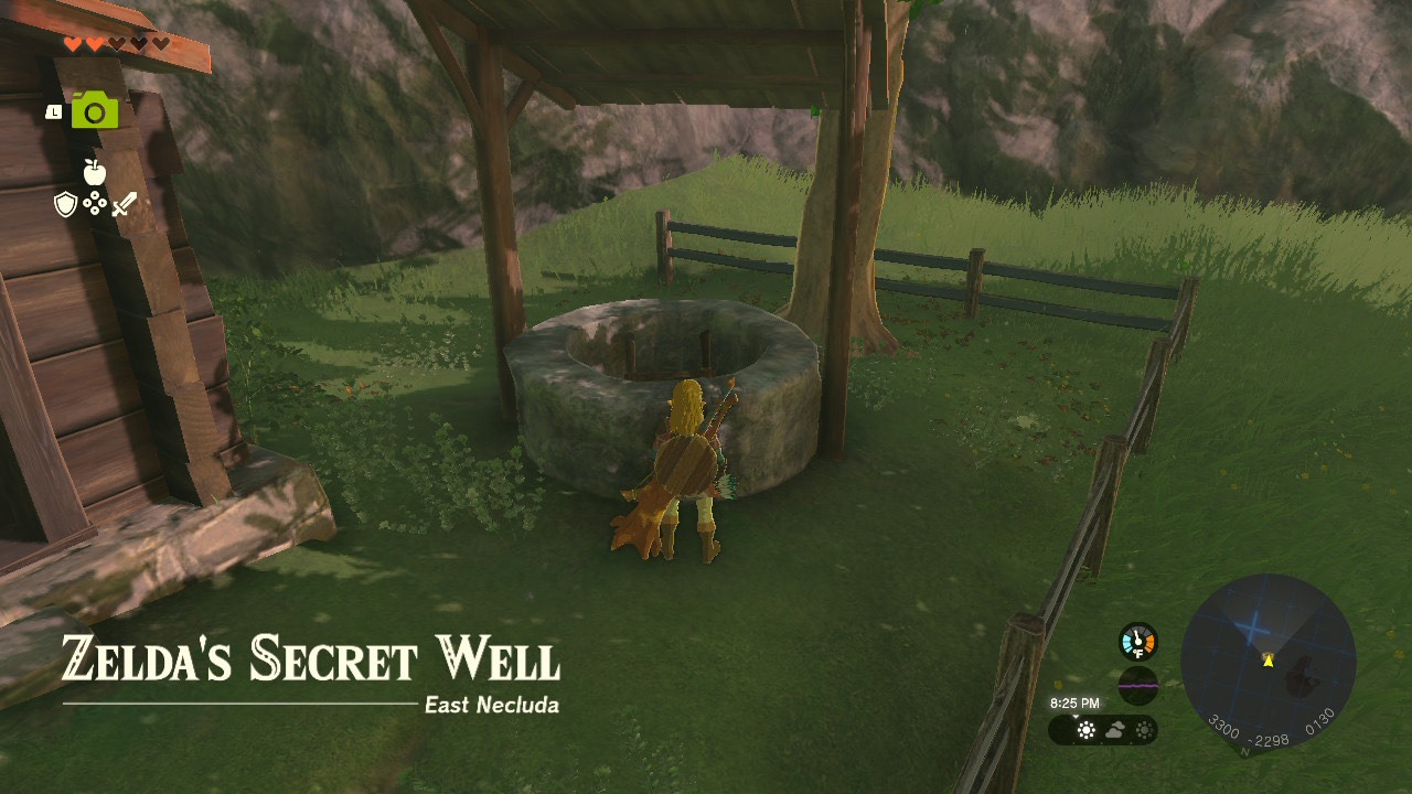 Guide - How to get the Well-Worn Hair Band in The Legend of Zelda ...