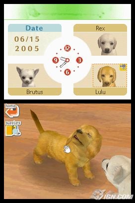 Nintendogs deals app store