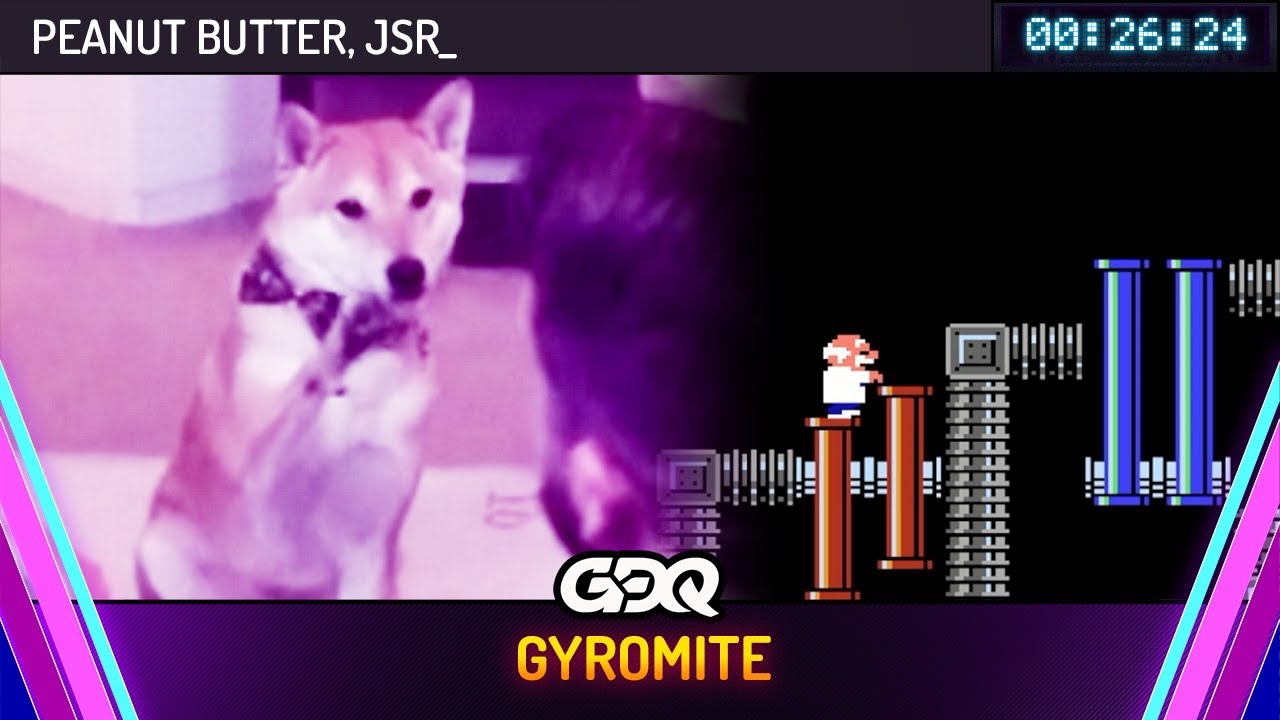 Speedrunning Dog makes history at GDQ 2024 Nintendo Wire